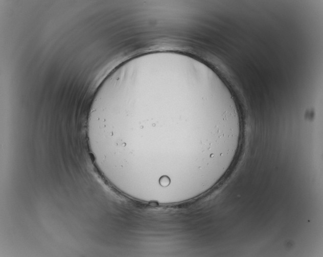 X0000112181185200909041223