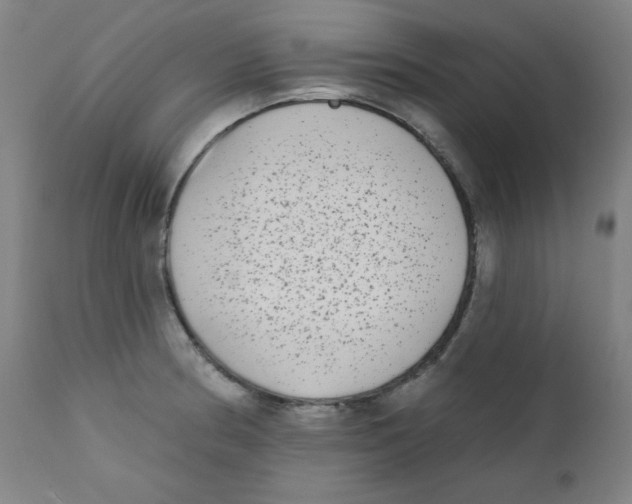 X0000112181186200909041223