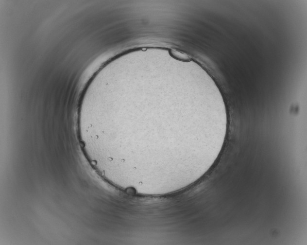 X0000112181188200909041222