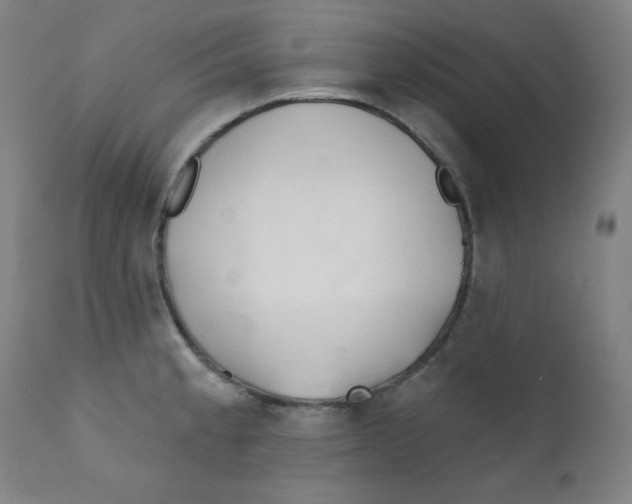 X0000112181189200909041222