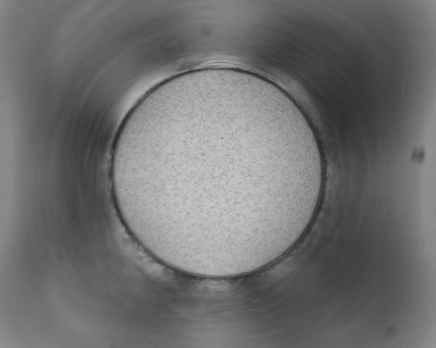X0000112181190200909041222