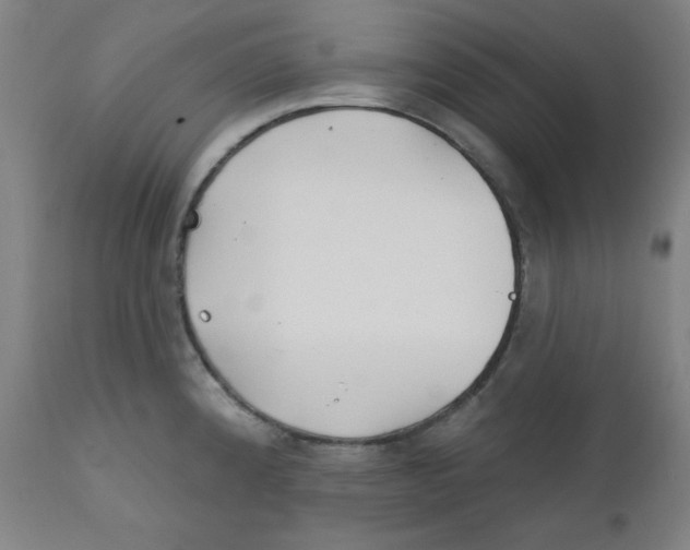 X0000112181192200909041222