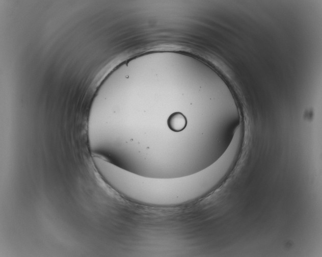 X0000112181193200909041222