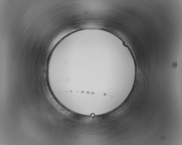 X0000112181195200909041222