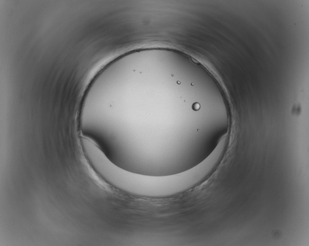 X0000112181197200909041222