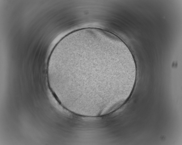 X0000112181200200909041222