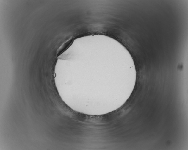 X0000112181201200909041222