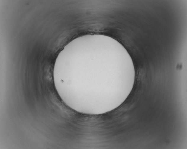 X0000112181202200909041222
