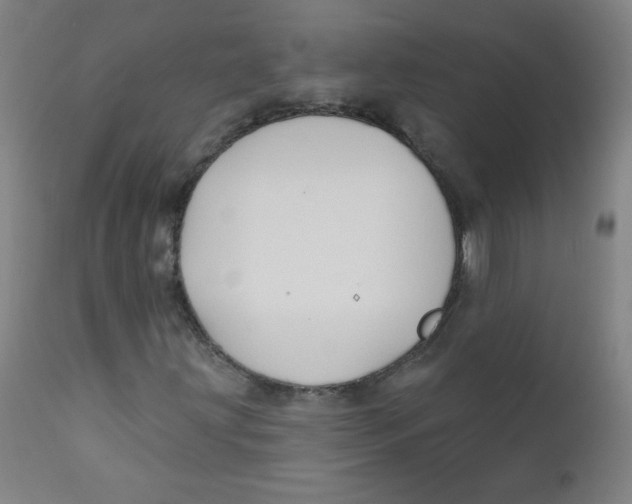 X0000112181203200909041222