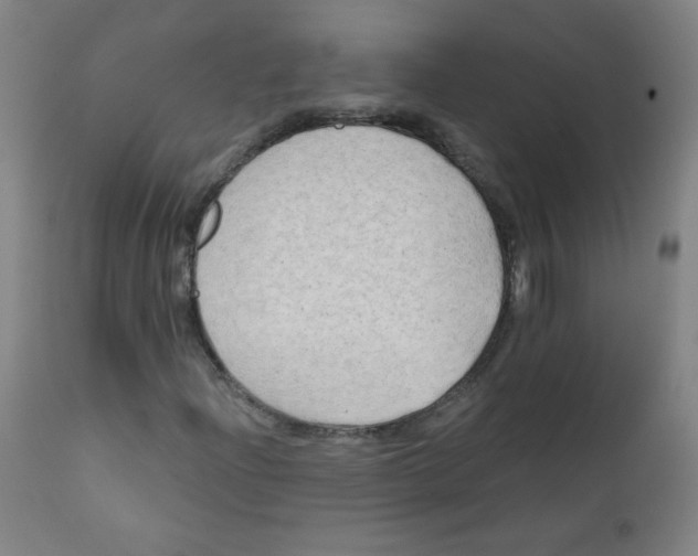 X0000112181204200909041222