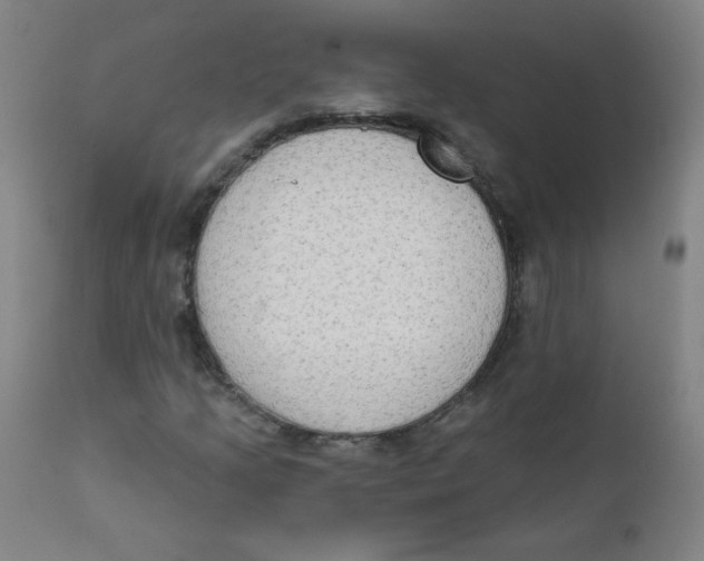 X0000112181205200909041222