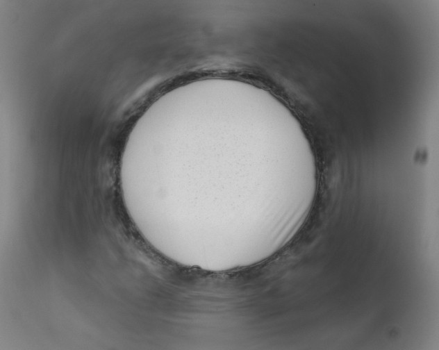 X0000112181206200909041222