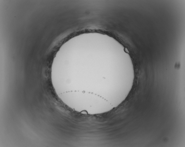 X0000112181207200909041222