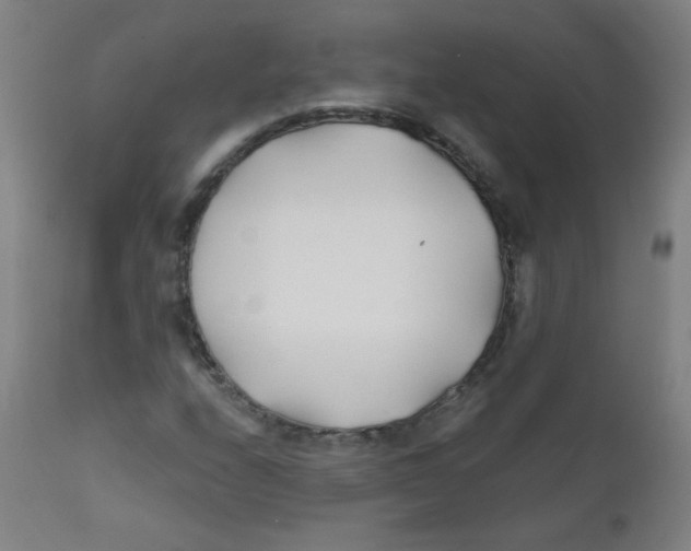 X0000112181208200909041222