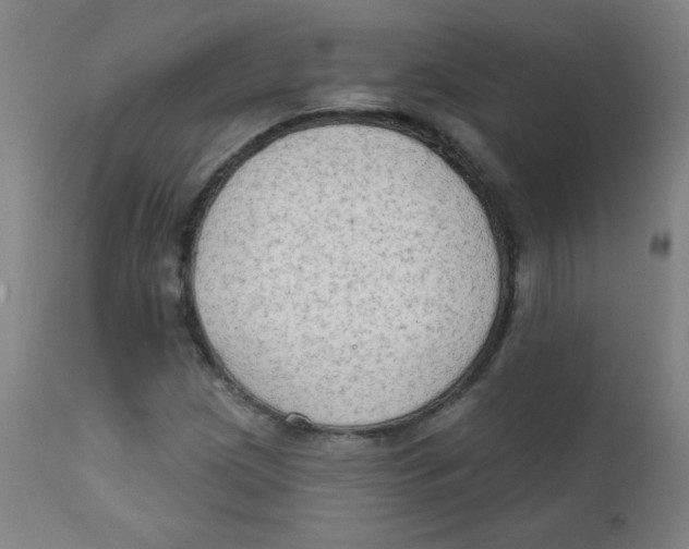 X0000112181209200909041222