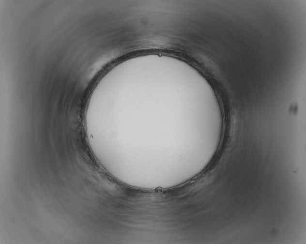 X0000112181210200909041222