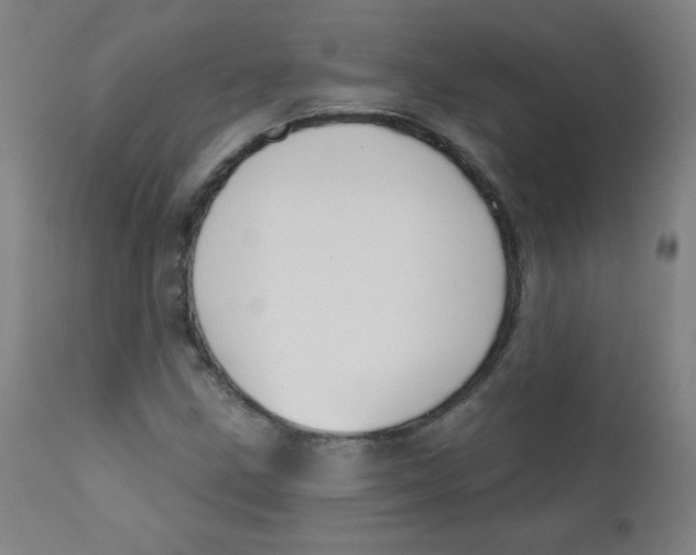 X0000112181211200909041222