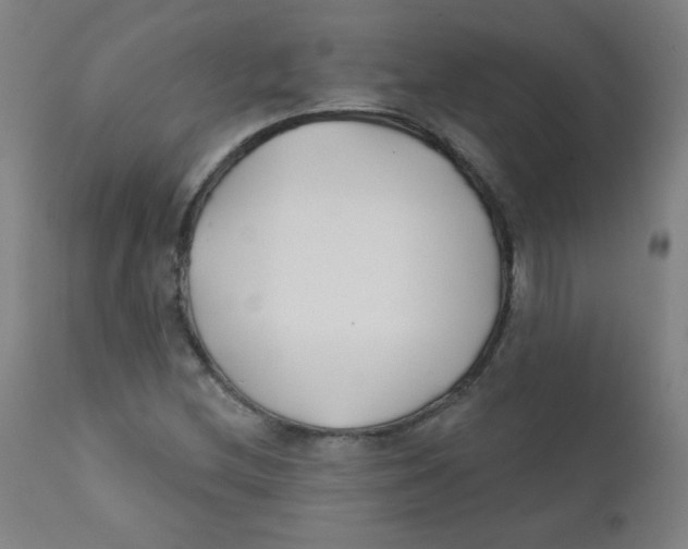 X0000112181212200909041222