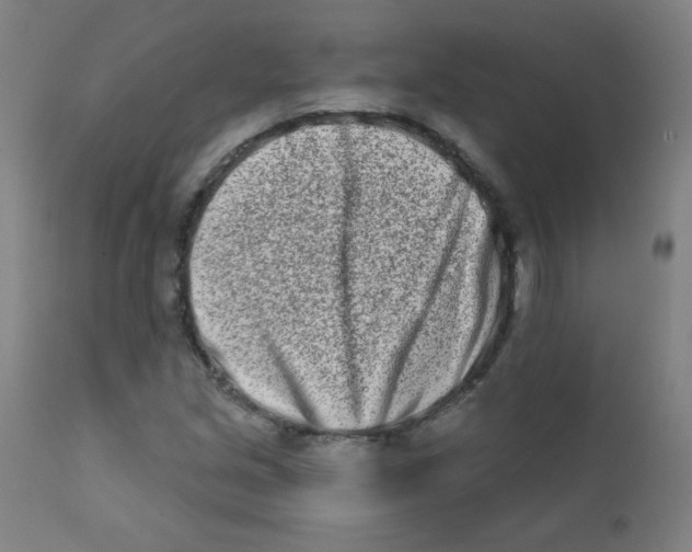 X0000112181213200909041222