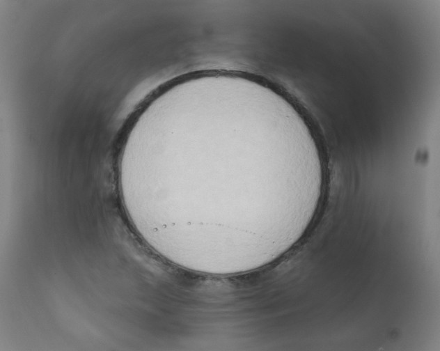 X0000112181215200909041222