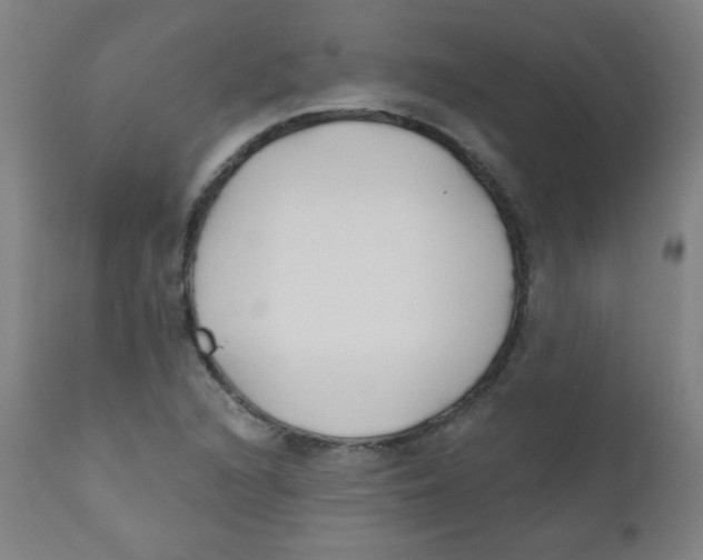 X0000112181216200909041222