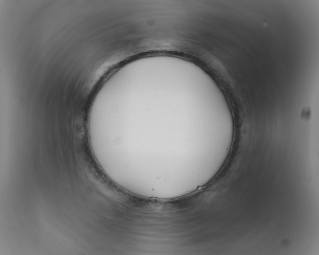 X0000112181218200909041222