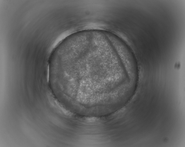 X0000112181219200909041222