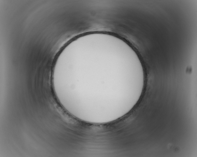 X0000112181220200909041222