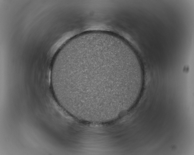 X0000112181221200909041222