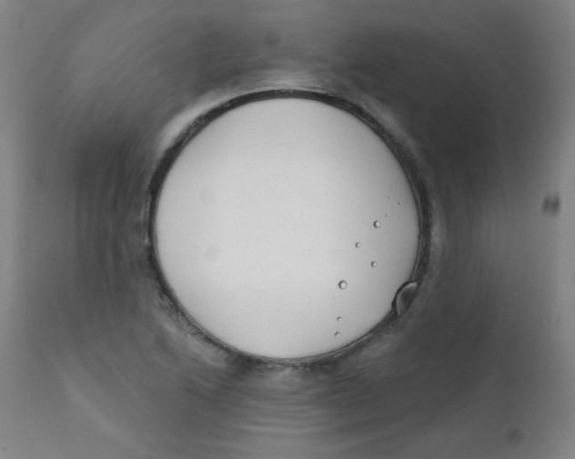 X0000112181222200909041222