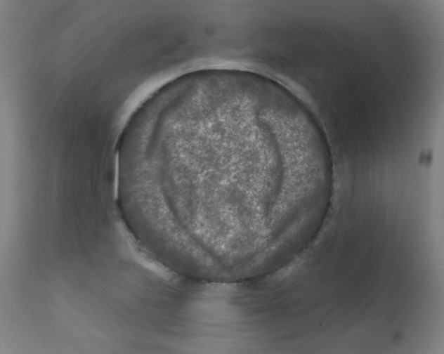 X0000112181223200909041222