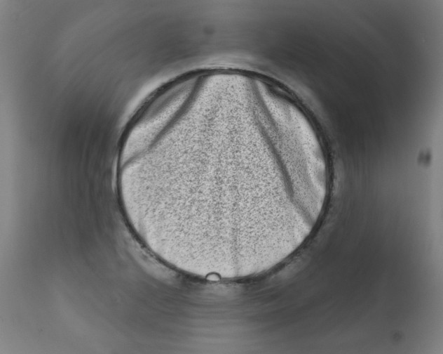 X0000112181224200909041222