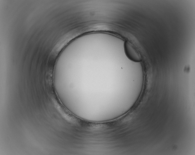 X0000112181225200909041222