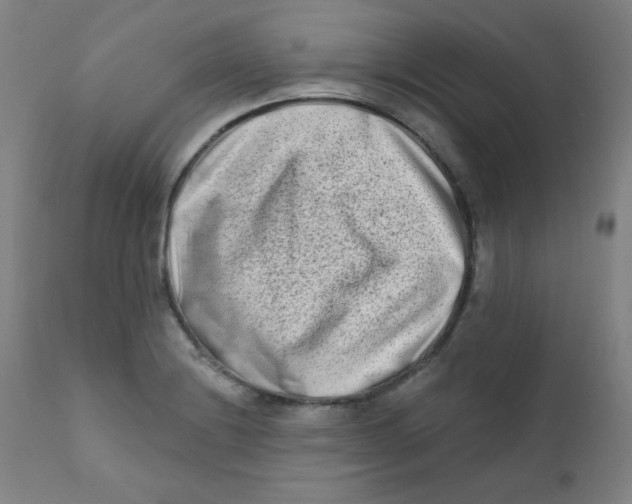 X0000112181228200909041222