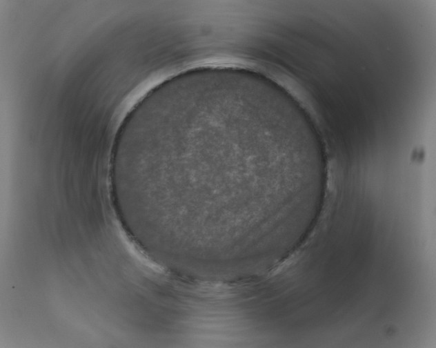 X0000112181229200909041222