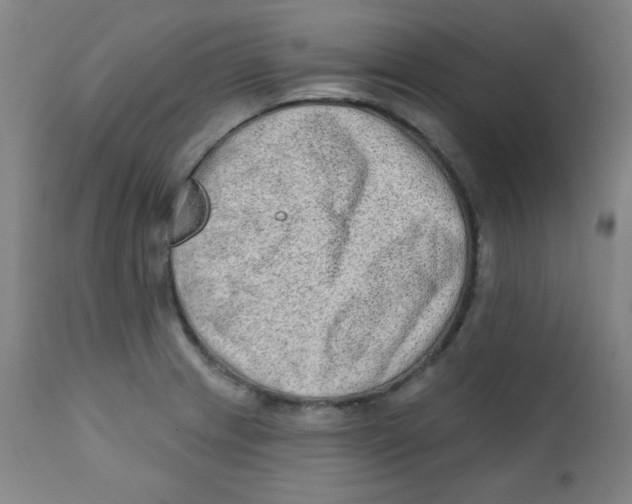 X0000112181233200909041222