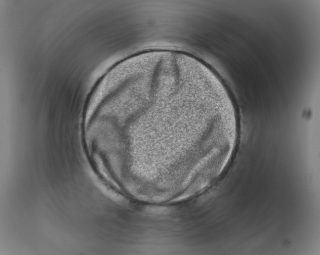 X0000112181237200909041222