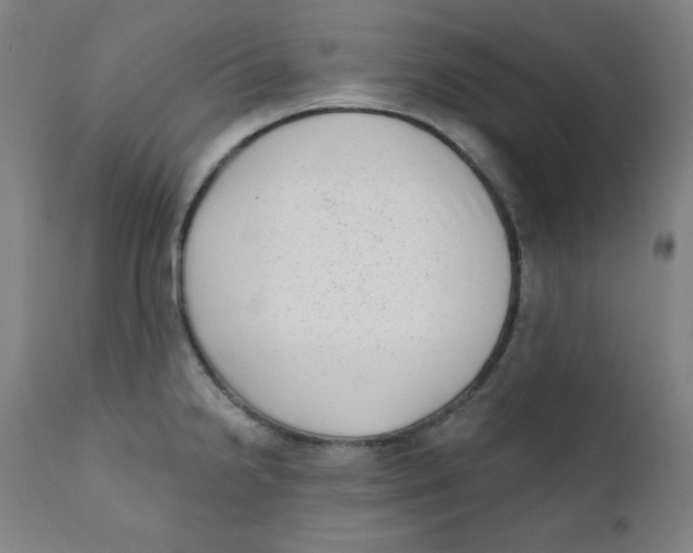 X0000112181238200909041222