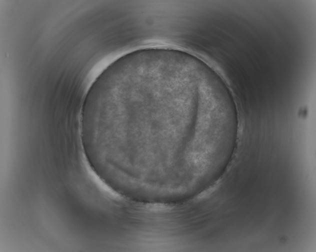 X0000112181239200909041222