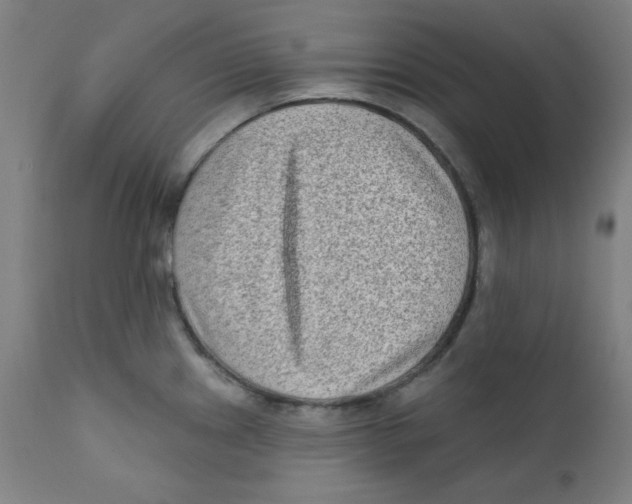 X0000112181241200909041222