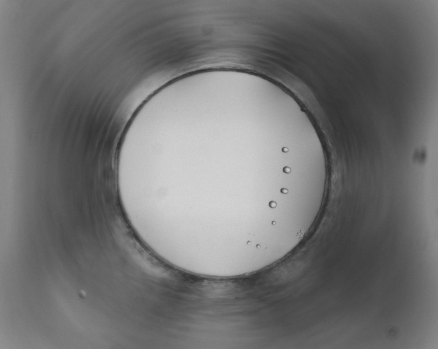 X0000112181242200909041222