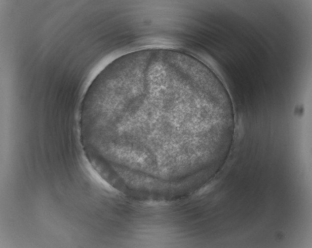 X0000112181243200909041222