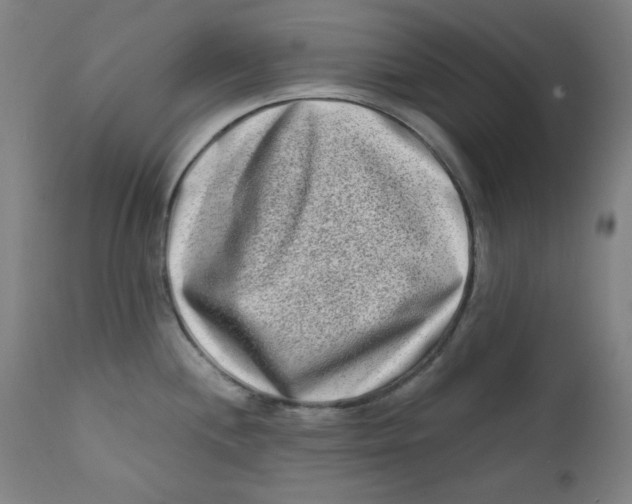 X0000112181244200909041222