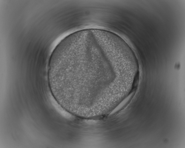 X0000112181246200909041222
