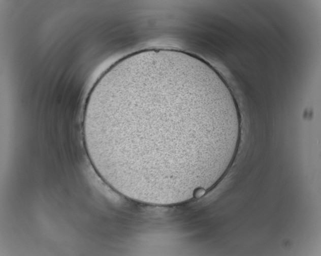X0000112181248200909041222