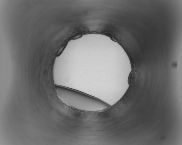X0000112181249200909041222