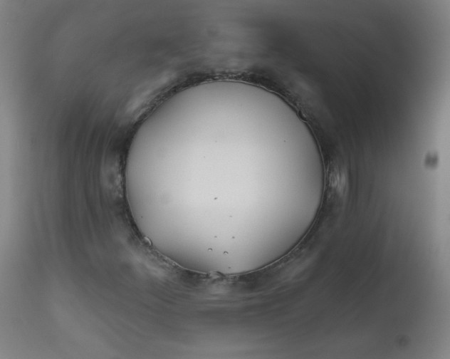 X0000112181252200909041222