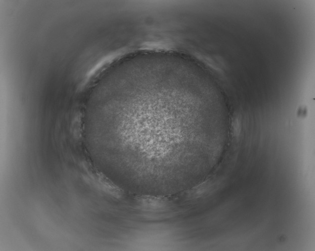 X0000112181254200909041222