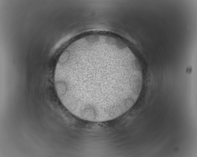 X0000112181255200909041222
