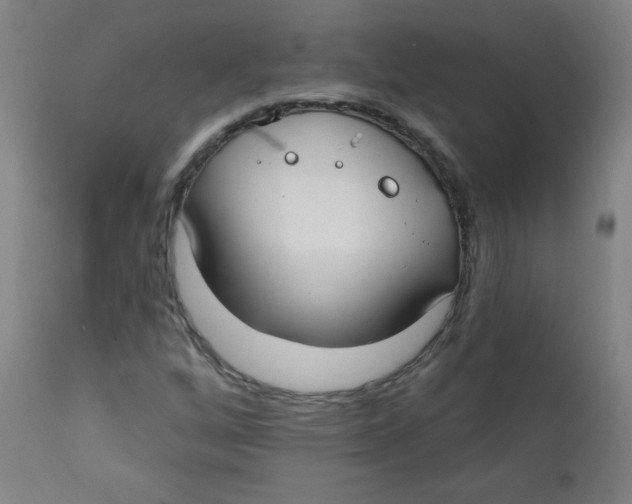 X0000112181256200909041222